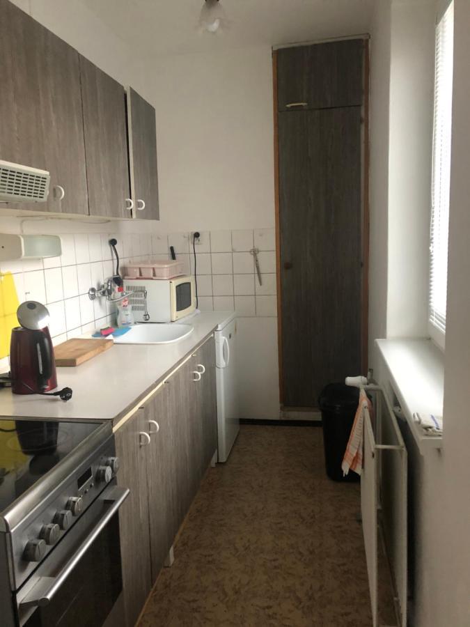 Apartman Na Horach Zlata Olesnice  Eksteriør billede